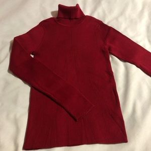 Northern Reflections Turtleneck